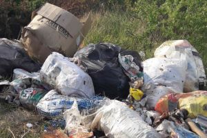 Gunoaie descărcate din camionete pe câmp, între Giroc şi Rudicica