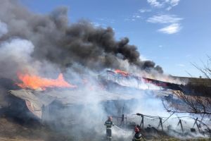 Incendiu la un adapost de animale din judetul Tulcea!