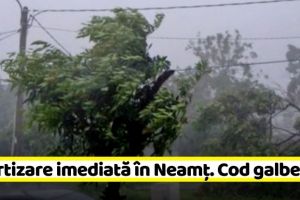 METEO: Avertizare imediată în Neamţ (6 iunie). Cod galben de vânt şi ploi