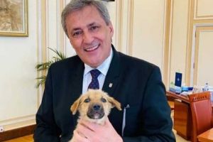 Se va înfiinţa Poliţia Animalelor. Marcel Vela: „Știrea în care aflam că doi copii minori au omorât prin lovituri repetate un căţeluş ne-a indignat şi întristat pe toţi”