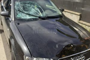 Bătrână accidentată mortal în timpul unei traversări, de mână cu nepoata sa. ...