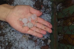 COD PORTOCALIU de grindină în câteva localităţi din Bihor