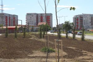 5 spaţii verzi noi, în pregătire în Oradea. În ce stadiu sunt lucrările (FOTO)