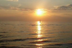 Ziua Internationala a Oceanelor.  Mesajul Complexului Muzeal de Știinte ale Naturii Constanta: 