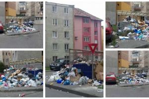 FOTO ȘTIREA TA: O stradă din Alba Iulia, la un pas de a se “sufoca” sub gunoaie. Serviciul de colectare a deşeurilor menajere sistat în unele zone din municipiu, pe motiv de neplată