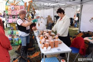 FOTO. Cultura de cătină, o reţetă a succesului în agricultură. Primii cultivatori din Alba: Muncă mai puţină şi profit bun