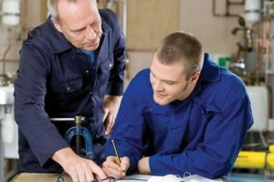 Atenţie, angajatori! Se acordă 1350 lei∕lună, pentru stagiul absolvenţilor învăţământului superior