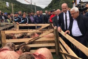 Multe oi şi mulţi politicieni la Costeşti. Ministrul Agriculturii, în vizită la „Regina Munţilor” (GALERIE FOTO)
