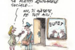 Insectarul cu nă(l)uci 25 septembrie 2017