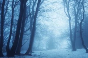 AVERTISMENTUL de IARNĂ GREA se ADEVEREȘTE. A venit IARNA în mai multe LOCALITĂȚI