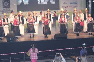 Festivalul Identitate prin Cultură, Topliţa