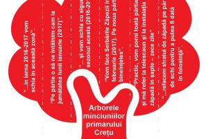 ”S-a confirmat. Primarul Creţu a minţit sistematic!”