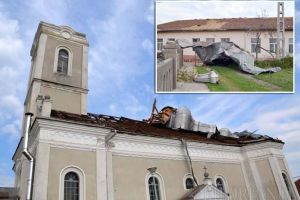 Ciclon de Bihor: Judeţul nostru a suferit cele mai mari pagube în păduri, în urma furtunii de acum o săptămână (FOTO)