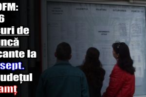AJOFM: 596 locuri de muncă vacante la 25 septembrie 2017 în judeţul Neamţ