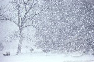 Informare meteorologică de ninsoare şi intensificări ale vântului