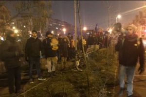 Protest la sediul PSD Timiş: ”România nu poate să fie raiul infractorilor!” I FOTO
