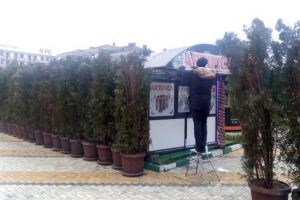 Artificiile şi petardele, ascunse după… „gardul” de tuia