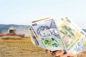 Subvenţii agricole de peste 150 de milioane de lei: Topul “moşiilor” din judeţul Vaslui