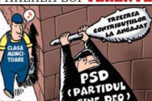 Părerea lui Terente