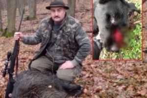 BIHOR. Un poliţist a împuşcat un câine fără lesă
