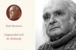 Emil Brumaru şi Ion Iovan, premiaţi de Academia Română