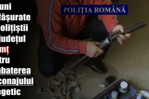 Acţiuni desfăşurate de poliţiştii din Neamţ pentru combaterea braconajului cinegetic
