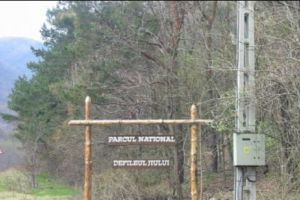 Râul Jiu, salvat de la distrugere. Curtea de Apel Bucureşti a anulat autorizările pentru hidrocentrală