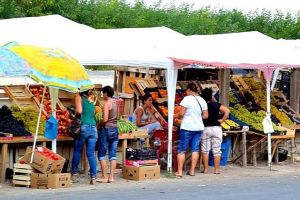 Razie a poliţiştilor printre comercianţii de la marginea şoselei