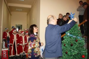 Colind ecologic şi globuri din materiale reciclabile pe bradul de la Agenţia pentru Protecţia Mediului (FOTO)