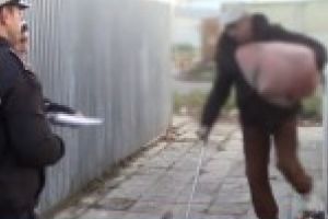 Politistii locali au dat amenzi de 7.000 lei persoanelor care au aruncat gunoiul pe domeniul public