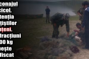 Braconajul piscicol, în atenţia poliţiştilor nemţeni. 3 infracţiuni şi 300 kg de peşte confiscat