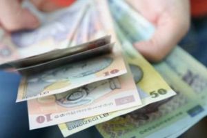 Guvernul a aprobat normele de acordare a voucherelor de vacanţă de 1.450 de lei pentru bugetari