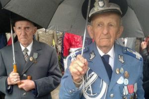Văduvele şi veteranii de război vor primi 370 de lei de la Guvern. Pentru ce sunt banii