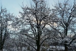 PROGNOZA METEO pentru URMĂTOARELE ZILE. Se încălzeşte vremea, vezi cum o să fie de Crăciun