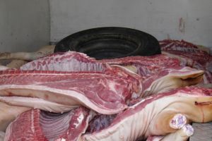 DSVSA: Informare cazuri de trichineloză în Ialomiţa