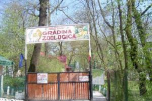 Animale noi la Zoo