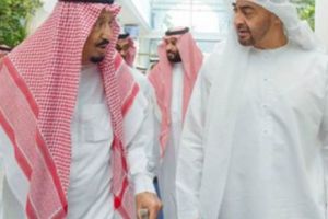 ARABII vin să ne cumpere...