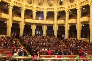 Premii de până la 9.700 de lei pentru olimpicii internaţionali, din partea Ministerului ...