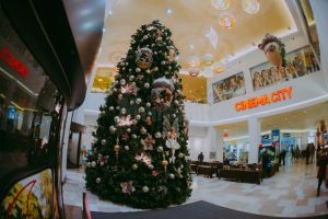 Iulius Mall Suceava este deschis în a doua zi de Crăciun şi pe 2 ianuarie 2018
