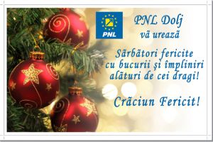 PNL Dolj vă urează Sărbători fericite cu bucurii şi împliniri alături de cei dragi!