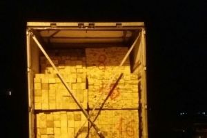 Cum să furi lemne cu acte. Amenda primită de o firmă care a crezut că păcăleşte autorităţile