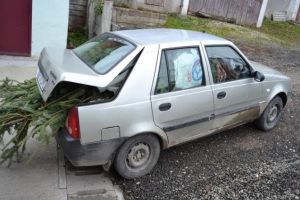 32 de brazi de Crăciun au fost confiscaţi de poliţiştii din Alba în urma unor controale în trafic
