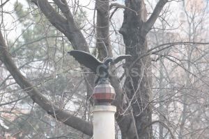 #scrieDobrogea: Zbor de... vultur in parcul Tomis 2, in amintirea Eroilor Regimentului 13 Artilerie (galerie foto) 