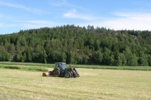 Proiect: TVA în agricultură, de la 19 la 9 la sută, pentru anumite lucrări