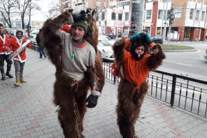 Urşii au dat năvală pe străzile Bistriţei. Cerşetorie agresivă sub masca păstrării tradiţiilor