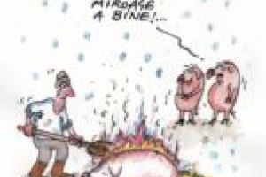 Insectarul cu nă(l)uci 22 decembrie 2017