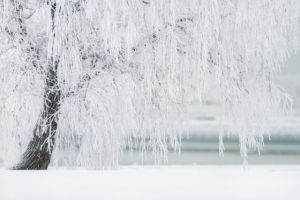 Vreme închisă în cea mai mare parte a ţării. Prognoza meteo pentru sfârşitul săptămânii