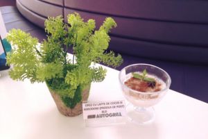 Program special de lucru la ETU Autogrill de Sarbatori