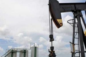  Se cere OPRIREA  exploatării gazelor şi petrolului. Adio, producţie INTERNĂ