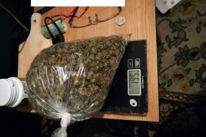 Percheziţii DIICOT într-un dosar de trafic de droguri: 2,7 kilograme de cannabis şi peste 100.000 lei ridicaţi din casa unui orădean